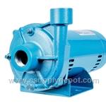 Little Giant 558255 LDGR1S05-CP End Suction Centrifugal Pump 115/230 V 1/2 HP ODP Motor (Replaces 558240)