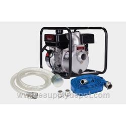 Red Lion 617030 Aluminum Water Transfer Pump Kit