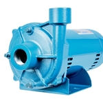 Little Giant Water System Pumps