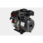 Red Lion 617070 6RLPG-2U AF Chemical & Transfer Pump