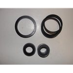 Red Lion  305606012 Seal Kit for all RL-SPRK pumps
