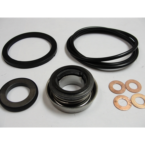 Red Lion 617305 Minor Repair Kit, Seal, 4RLAG-2H (Fits pump model 617056 ONLY)