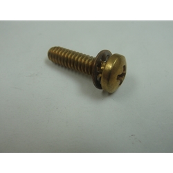 Little Giant 909019 Screw/Washer 10-24 X 3/4 Phillips Pan Brass NT tooth
