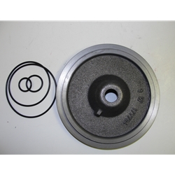 Franklin Electric 305372901 Seal Plate Kit