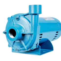 Little Giant 558255 LDGR1S05-CP End Suction Centrifugal Pump 115/230 V 1/2 HP ODP Motor (Replaces 558240)