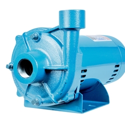 Little Giant 558256 LDGR1S07-CP End Suction Centrifugal Pump 115/230 V 3/4 HP ODP Motor  (Replaces 558241)