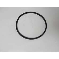Little Giant 14942020 Gasket for 555104 UPSP-5 and 14942016 RLMPTC pumps